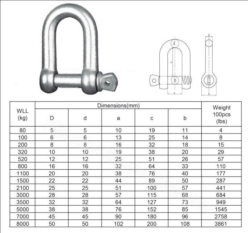 China-Supplier-Marine-Rigging-Hardware-Heavy-Duty-Forged-316-304-European-Stainless-Steel-Lifting-Chain-D-Shackle.webp (1)
